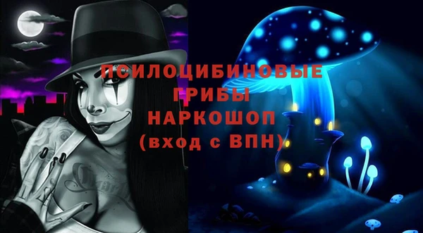 гашик Каменка