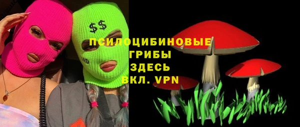 метамфетамин Щигры