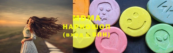 гашик Каменка