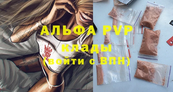 гашик Каменка