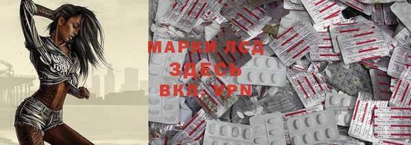 гашик Каменка