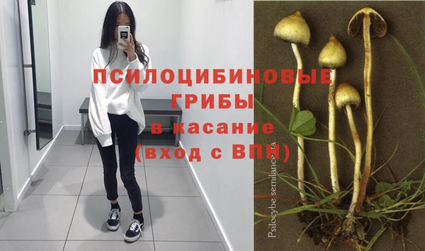 spice Щучье