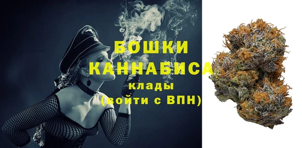 гидра Алексеевка