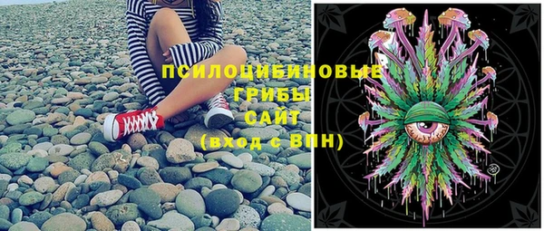 гашик Каменка