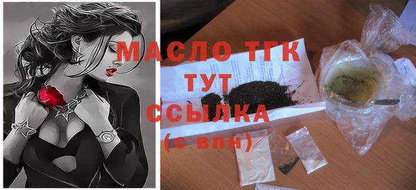 гашик Каменка