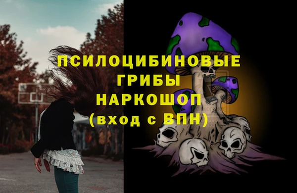 гашик Каменка