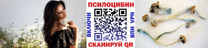 OMG рабочий сайт  Снежинск  Псилоцибиновые грибы GOLDEN TEACHER 